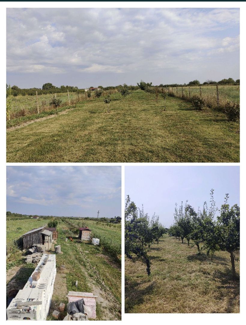 Casa noua de vanzare ( semifinisat) in Ruseni, com. Paulesti - Poză 8