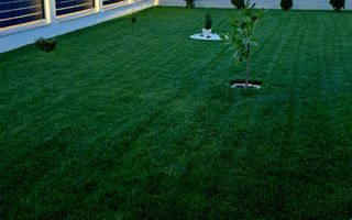 Comisiom 0% Vila 2022  teren 1000 mp Ciorogarla - Poză 7