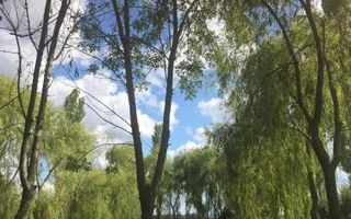 Vila individuala /proiect deosebit - Poză 21