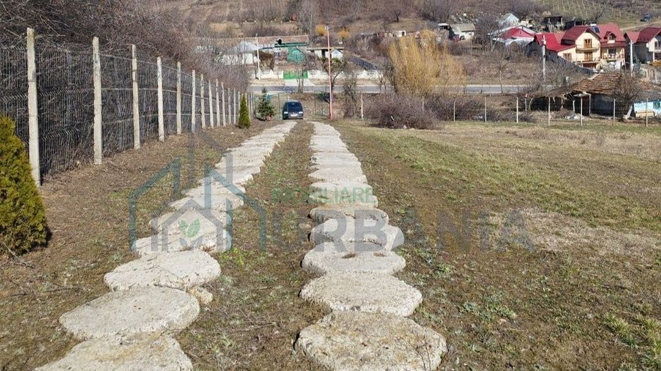 Teren intravilan și extravilan în Răducăneni, jud. Iași, zona Dealul Doi Lei - Poză 6