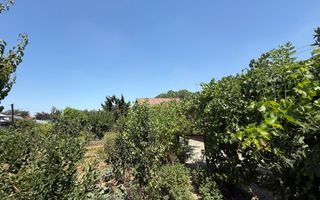 Casă parter + 1100 mp teren în Popești-Leordeni - Poză 10