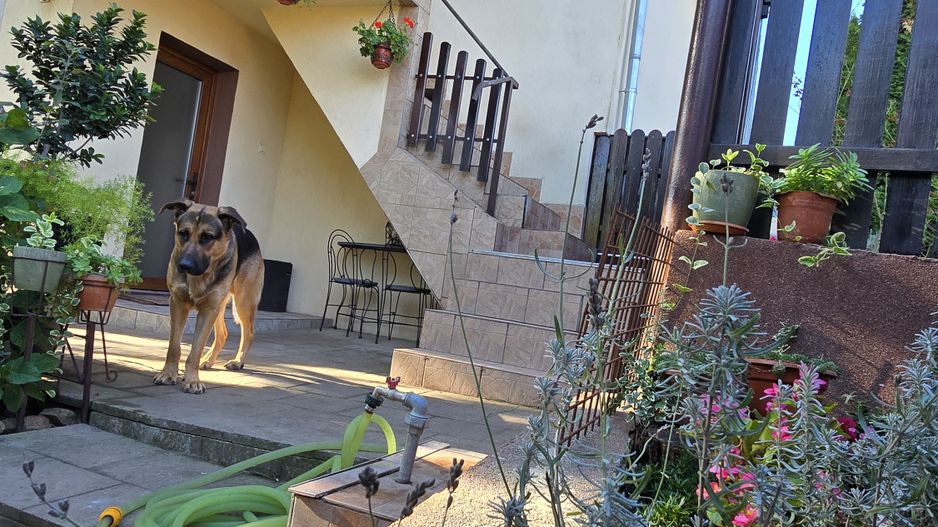 Casă spațioasă cu 6 camere în Triaj preț ajustat - COMISION 0%🌿🏡 - Poză 15