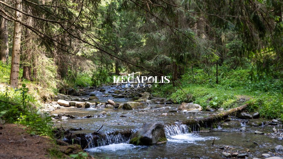 Pretabil Hotel,Pensiune,Case de Vacanta/Utilitati/PUZ - Poză 16