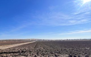 Vanzare I Teren I Suceava/Stroiesti I 100 ARI 2999 Euro/Ar - Poză 2