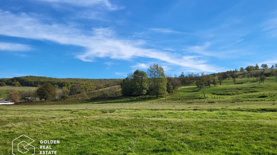 Teren intravilan 2014 mp, localitatea Cuvesdia - Poză 2