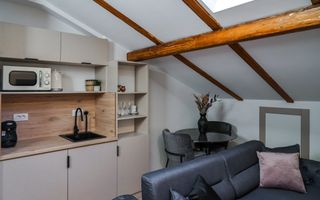 Proprietate ideala pentru investitie *354mp* inchirata pe 6 ani // Cismigiu - Poză 111