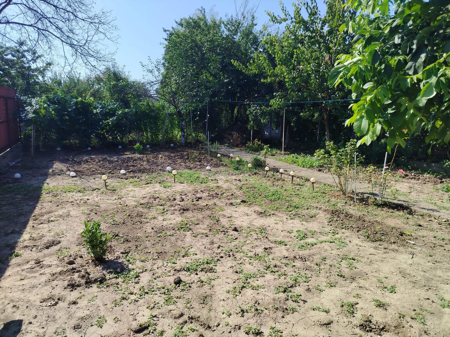 Snagov stradal central - Poză 11