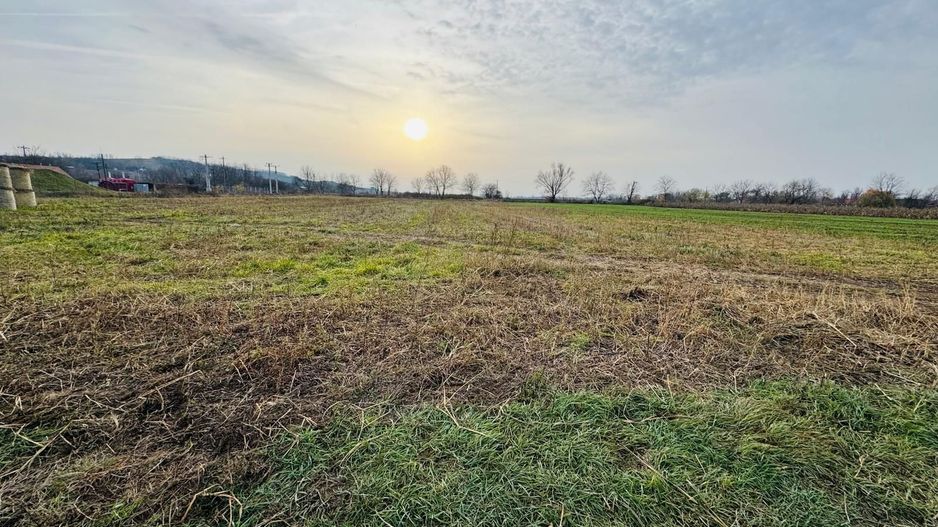 Teren intravilan 7620 mp la intrare in Diosig - Poză 1