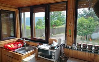 CASA 4 CAMERE, TEREN 290 MP, RUCAR, ARGES - Poză 15