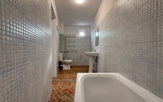 Oportunitate | Vila individuala | Curte | Tei - Poză 22