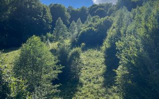 Casa individuala in constructie, pădure & priveliște spectaculoasă - Poză 6