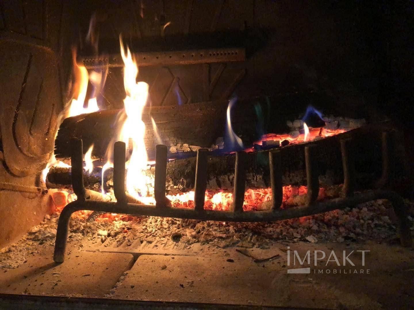 Cabana la Munte, ideală pentru vacanțe sau investiție! - Poză 18