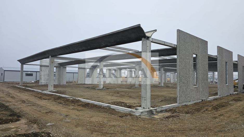 Vanzare hale/depozite/productie -industrial-Chitila - Rudeni, ILFOV - Poză 13