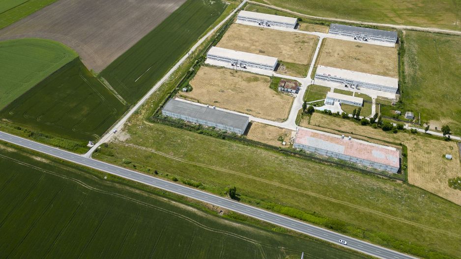 Teren Intravilan Investiții 11.600 mp Salonta - Poză 7