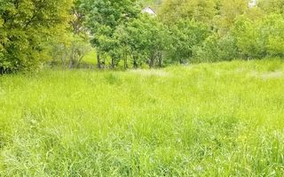 Teren intravilan | Budiu Mic | 994 mp - Poză 7