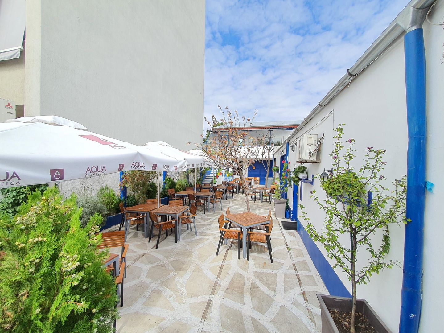 Spatiu comercial stradal Damaroaia - Poză 1