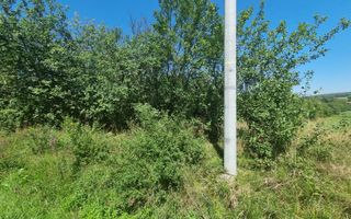 EXCLUSIVITATE! Teren la șoseaua principală | Tocile - Poză 5