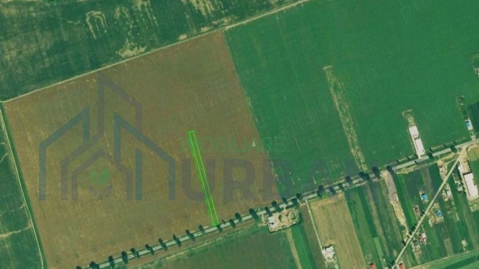 Teren de vânzare în Pașcani, 6000 mp, cu deschidere la Drumul Național - Poză 2