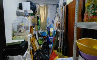 Apartament 5 camere, , vilă interbelică - cartier de case - Poză 13