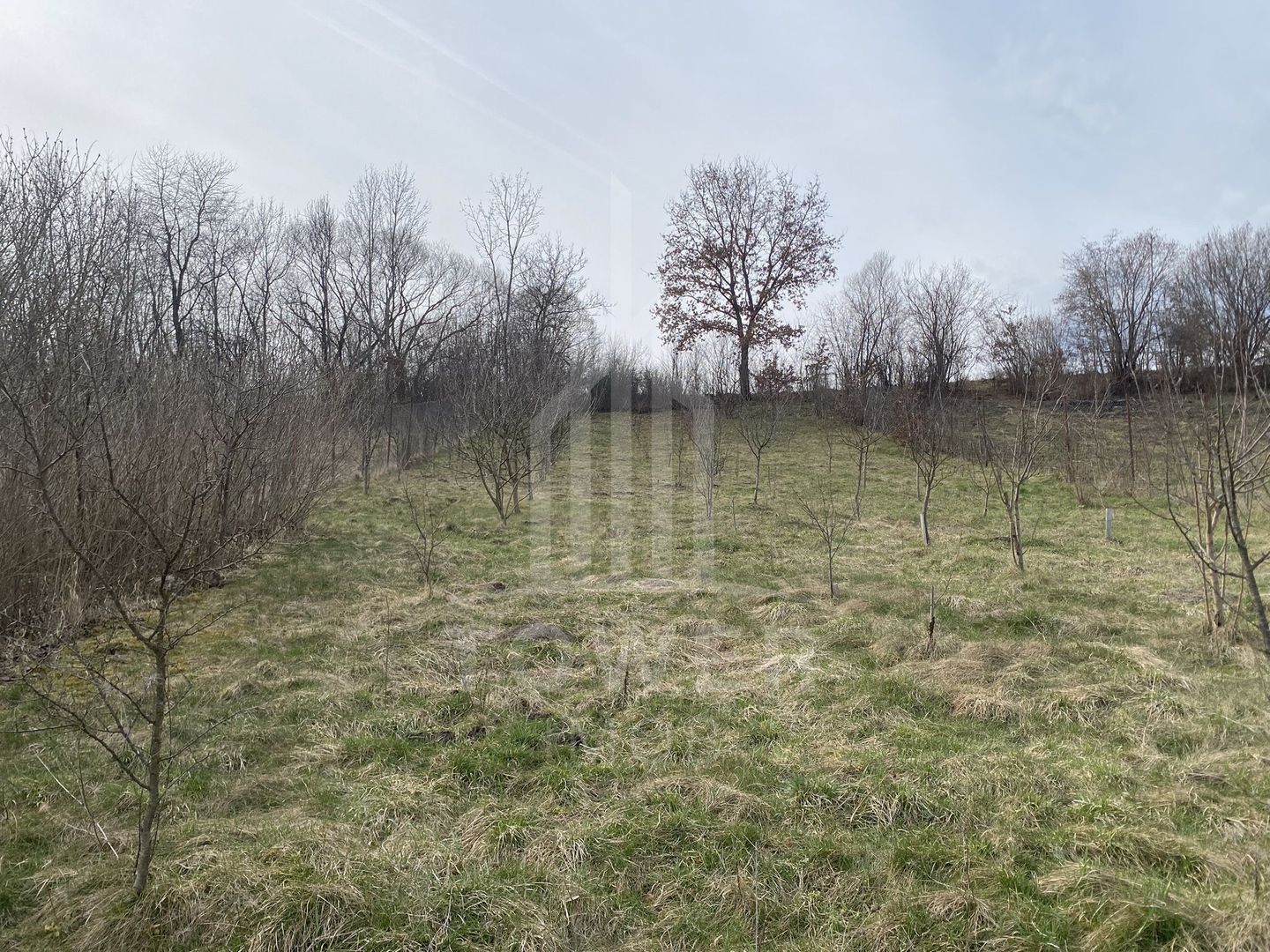 Casă săsească de vânzare | 207 mp utili | 1.500 mp teren | Sat Apos, Sibiu - Poză 23