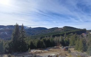 Teren de vânzare în zona montană a județului Alba - Poză 9