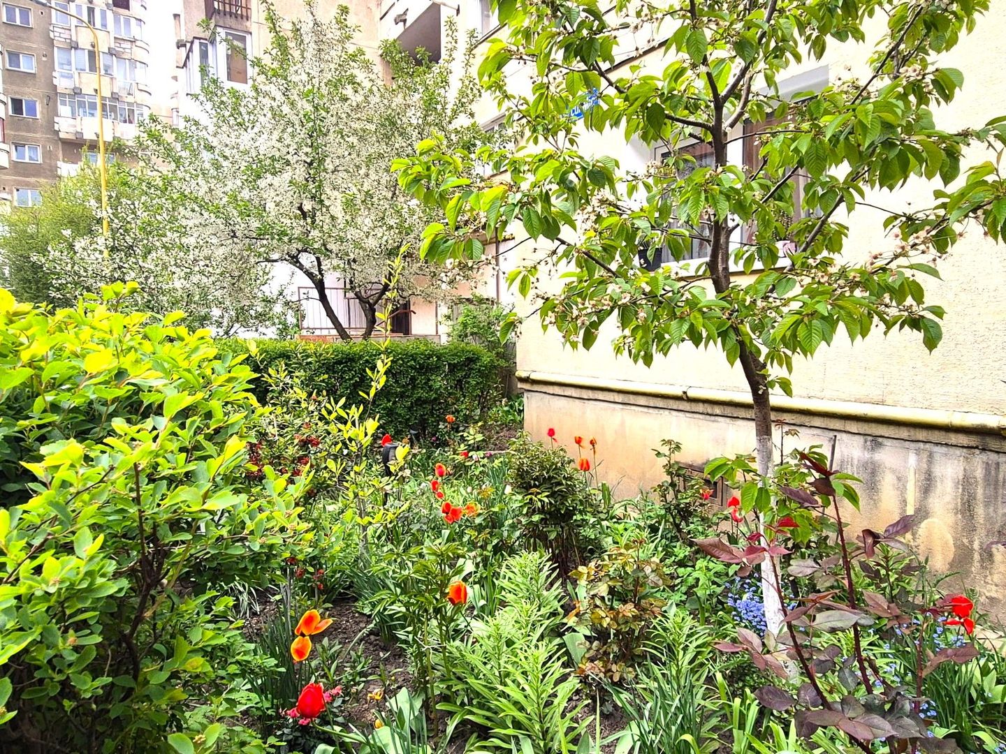 Garsonieră spațioasă, în bloc de apartamente, Zona Vlahuță - ITC,  PET friendly - Poză 20