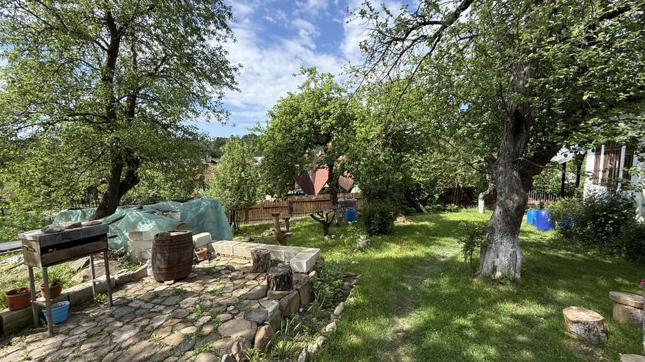 2 Case + teren 1390 mp langa parcul central Provita de Sus - Poză 28