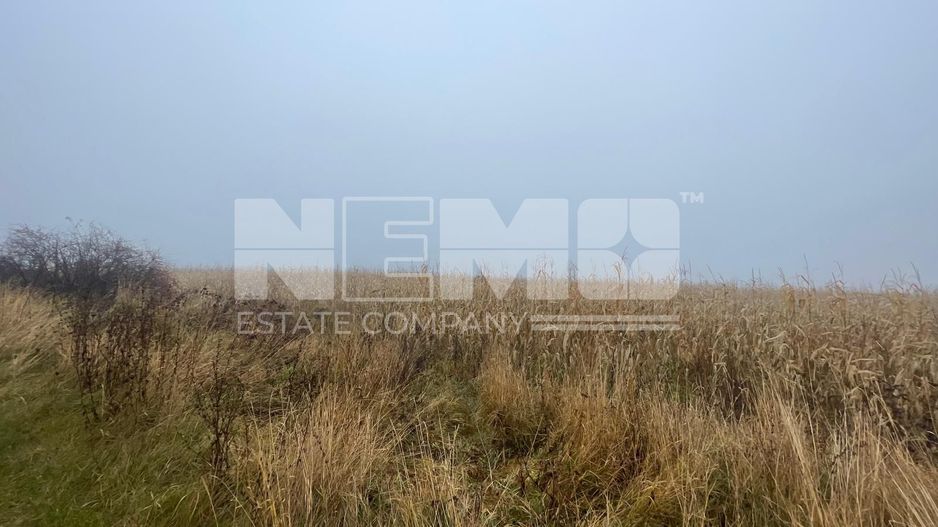 TEREN EXTRAVILAN | DOUA PARCELE 2.84 HA| IDEAL AGRICOL | DARMANESTI - Poză 7