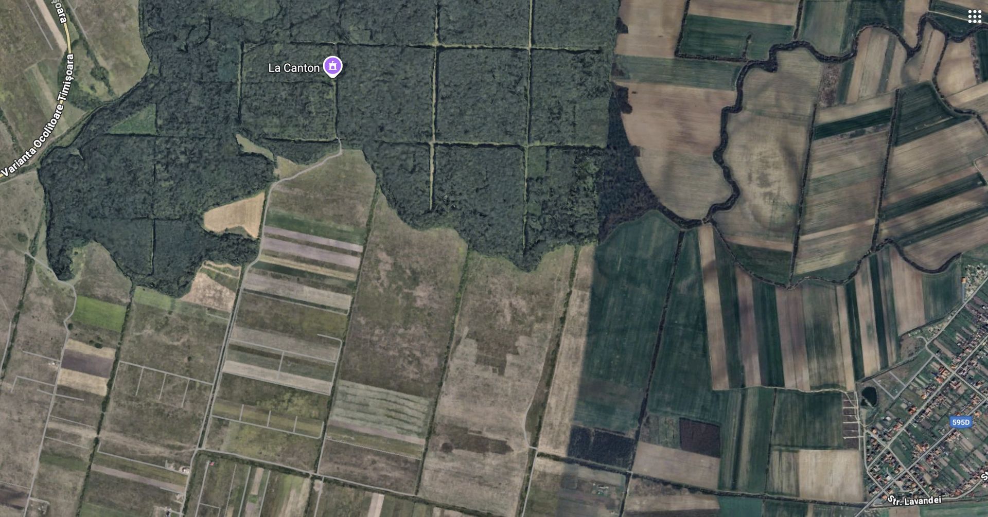 Teren zona Mosnita Padurea Bistra - Poză 2