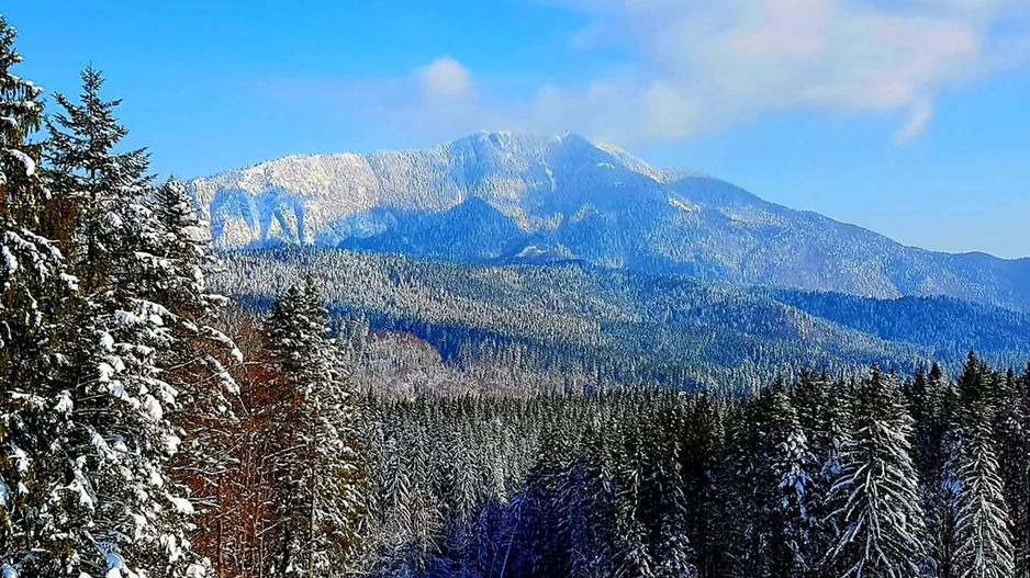 Aparthotel cu view superb Valea Prahovei - Poză 5