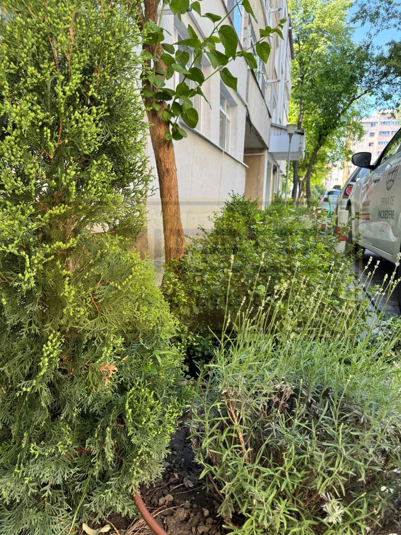 Apartament 2 camere decomandat Nicolina-Hlincea - Poză 20