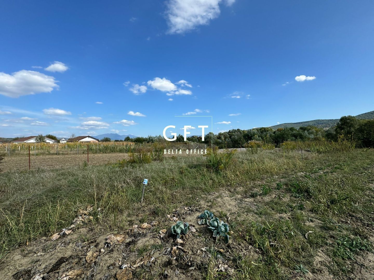 Teren de vanzare in Unirea, 10 Ari. - Poză 10