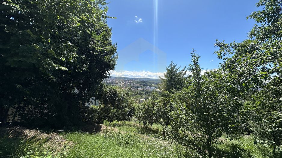 Vanzare teren 2387 mp, front 17,3 ml, Serpuitoare , Gruia - Poză 5