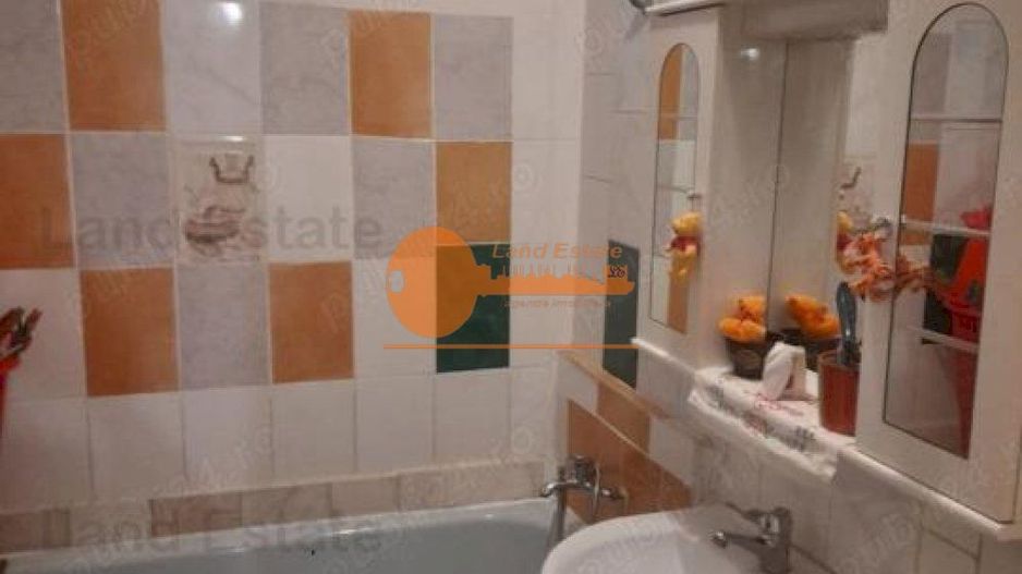 Vanzare 2 camere Ozana - Poză 3