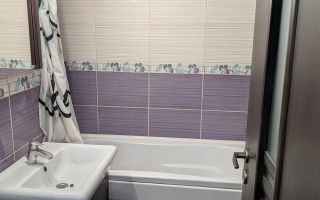 Apartament 2 camere SD 350euro Nicolina 1 - Poză 9