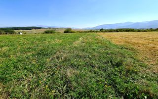 Teren cu vedere panoramica Intrare in Cisnadie 2325 mp deschidere 25ml - Poză 1