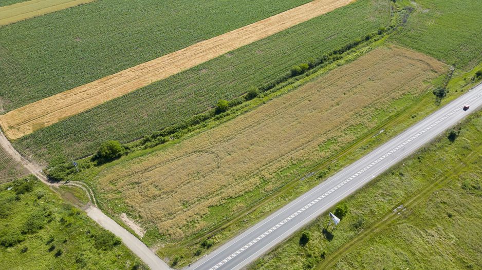 Teren 16,122mp zona aeroportului Timișoara - Poză 30