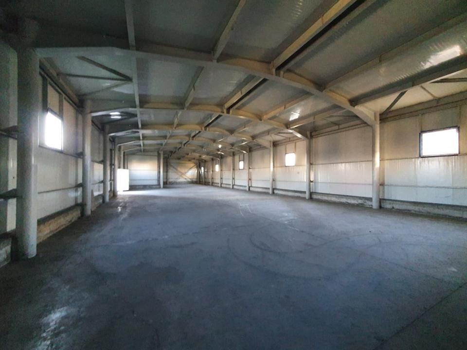 Hala de inchiriat Pitesti - Poză 2