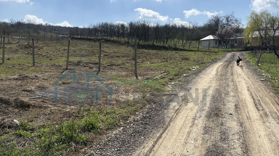 Terenuri intravilan în satul Vladiceni, comuna Tomești - Poză 2
