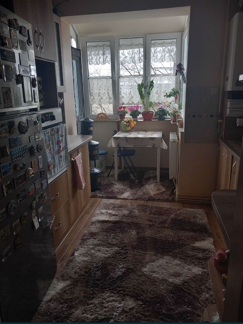 Apartament cu 2 camere pe Drumul Careiului - Poză 7