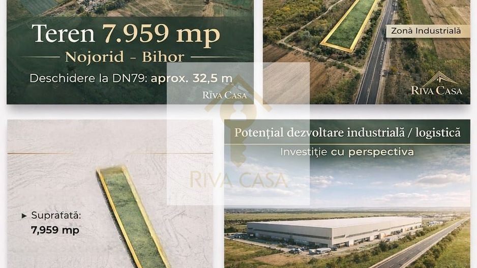 TEREN INTRAVILAN 7.959 MP – DN79 NOJORID, BIHOR - Poză 2