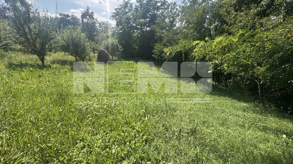 Teren Darmanesti | 41 Ari | 26.500EURO - Poză 7