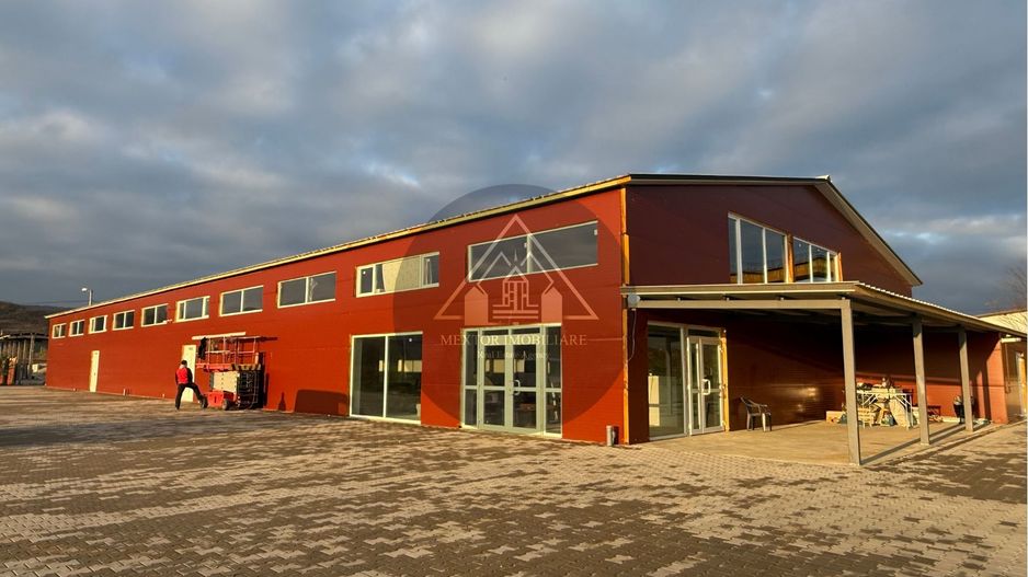 Hală de inchiriat, Medias - Poză 4