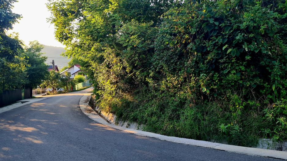 Teren Intravilan 3250 mp / Casa batraneasca / Pausesti Maglasi - Poză 6