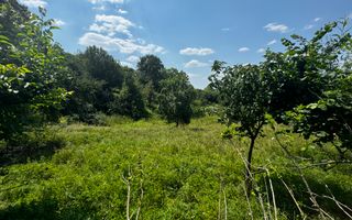 TEREN INTRAVILAN 2146 MP, ALBESTII DE MUSCEL, ARGES - Poză 5