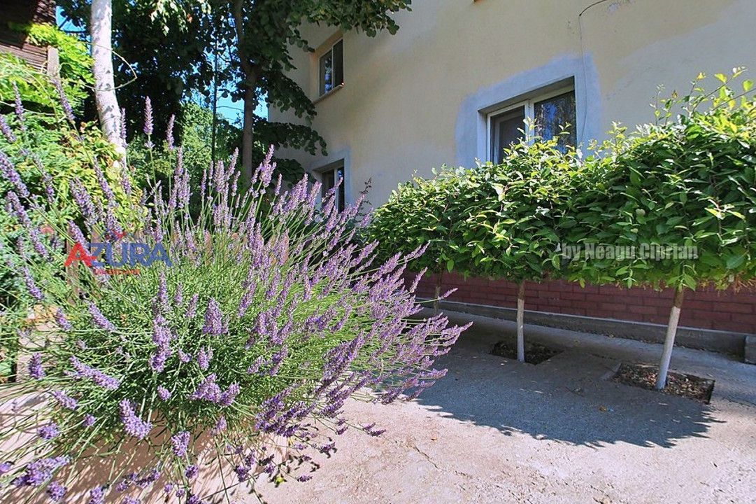 AZURA Imobiliare Pitesti - Casa Gavana Pozitie Excelenta - Poză 12