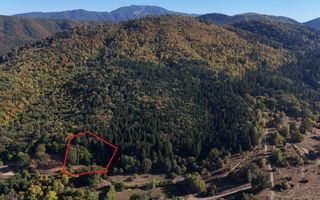 Aproape de Brașov, departe de agitație - Teren cu pădure în Cristian - Poză 5