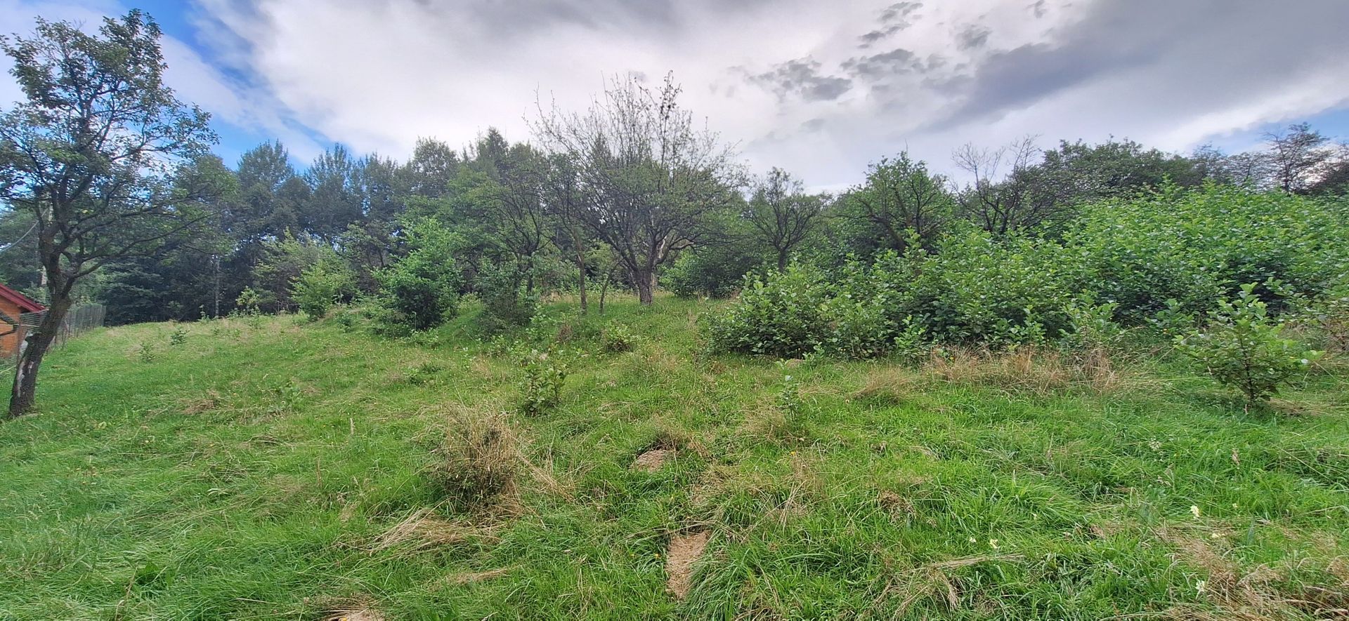 Bran-Predelut doua parcele de 2000+3000mp pret 25 euro/mp - Poză 5