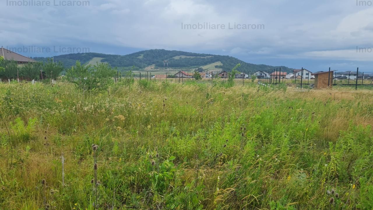 De vanzare teren  502 mp Harman Aleea 14 pret 32000 euro - Poză 6