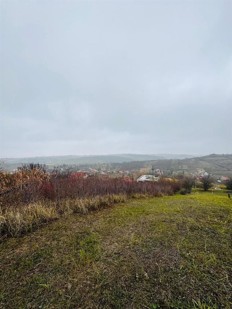 Teren Intravilan 2149 mp strada Sofiei - Poză 3